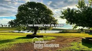 Lisandro Amaral - Romance de Campo e Flor