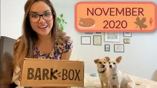 Обзор Barkbox: распаковка, ноябрь 2020 &mdash; Extra Toy Club