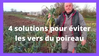 4 solutions pour &eacute;viter les vers du poireau.