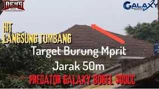 SENAPAN PCP PREDATOR GALAXY TACTICAL 300CC GILA AKURASI 50 METER TARGET TUMBANG