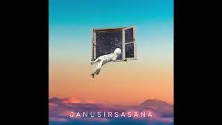 Janusirsasana (2020) - Milena Pl&aacute;cido