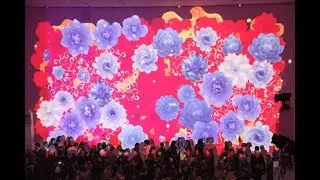 Camera Rosetum : MoMA Armory Party