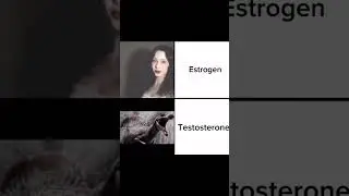 Meme Dungeon 110