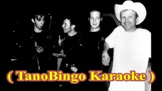 The Queers - Punk Rock Confidential ( TanoBingo Karaoke )