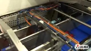Strawberries in tray packaging in a double line TSA 680 traysealer