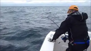 JIGNPOP: Action of Black Hole Cape Cod Special 80G (Graphite) Rod for 250lb Bluefin