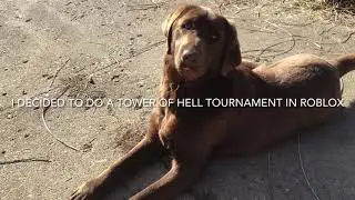 My tower of hell tournament! (Roblox)