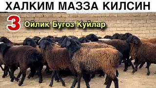Олинг Барака Топинг! ☎️+998 994550499 ☎️+998 919504591