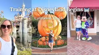 Программа обучения агентов Disney✨ | Регистрация в отеле Grand Californian + вечер в Диснейленде