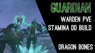Stamina Warden Build PvE 