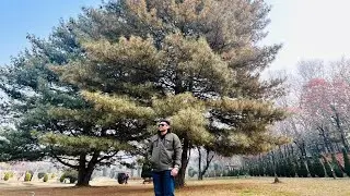 ​Srinagar: A Piece of Heaven on Earth 🏔️ Detailed Travel Vlog.Srinagar is truly a Paradise on Earth.