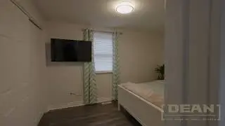 The 