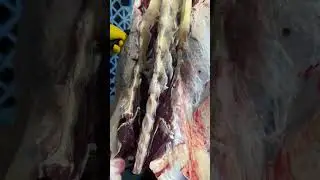 Learn meat grading standards to identify quality before starting cuts.#najiaxin#shorts#meat#beefcut