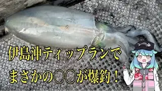 【ティップラン】伊島沖でまさかの○○が爆釣！