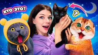 ВЗЯЛА КОТЕНКА 😱 МОИ ПИТОМЦЫ В ШОКЕ!