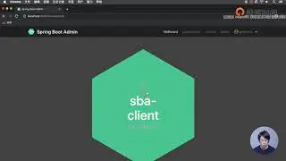 75通过 Spring Boot Admin 了解程序的运行状态