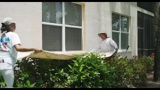 Florida Painters of Lee County, Inc.