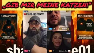 🔴 LIVE | Vitamin 114, King O & Zara &ndash; King O fordert seine Katzen zur&uuml;ck!