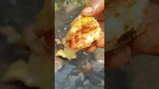 village style guava chat ‼️#trending #shorts #viralvideo #food #recipe #farming #guava #chat