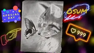 realistic pencil  ℂat with butterfly drawing 😸🦋