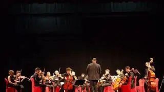 Haydn d cello 1 movimento  