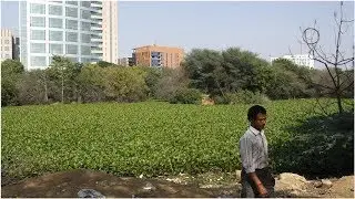Exhibition held in Gurugram to show methods to revive city&rsquo;s dying ponds