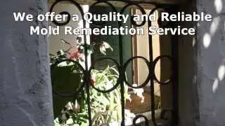 Commercial Mold Removal and Residential Mold Removal