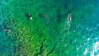 Cold Water Swimming in Lake Superior near Grand Marais, Minnesota