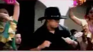 Felina _ Hector y Tito el bambino