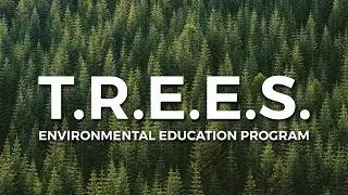 TREES School Program: Environmental Learning Resources | One Tree Planted