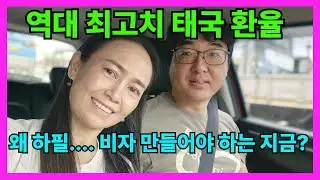 🇰🇷🇹🇭 직원 없이 나홀로 태국에서 한식당 운영하기