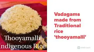 Homemade Vadagams @seeragam