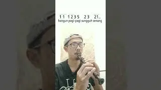 1 2 3 4 Bangun Pagi. #seruling #bangunpagi #laguanak #recorder #suling #instrumental #kabacarecorder