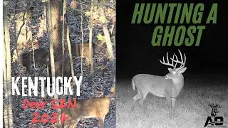 Kentucky Deer Season 2024! - Bow Hunting a GHOST BUCK!