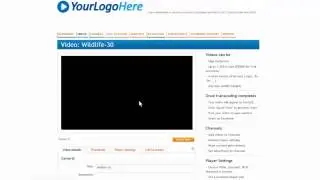 Using Channels