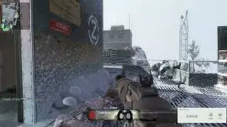 call of duty black ops 1 multiplayer PIG SERVERGAME 24