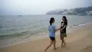 3DEES沙灘