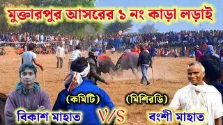 মুক্তাপুর ১নং কাড়া লড়াই,বংশী মাহাত v/s বিকাশ মাহাত Muktapur Kara Ladai #bangshi_mahato_kara_ladai