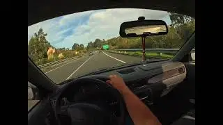 Semi-chill drive from work in the Honda