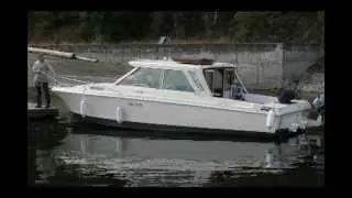 24 ft Winner Boat for Sale