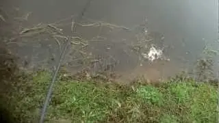 KVD 1.0 in Action