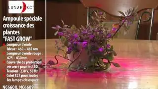 AMPOULE DE CROISSANCE 48 LED E27 ''FAST GROW''