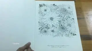 Flip Through | Floribunda: A Flower Coloring Book by Leila Duly