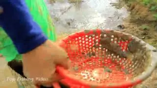 Top Fishing Video - Amazing Girl Fishing A Lot Catfish By Hand