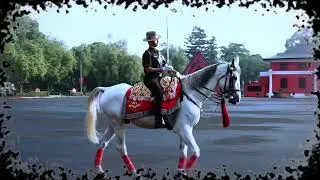 Jorawar &ndash; The Majestic IMA Horse | Last POP Walk at Indian Military Academy Dehradun 2025