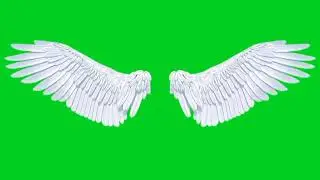 Green screen wings
