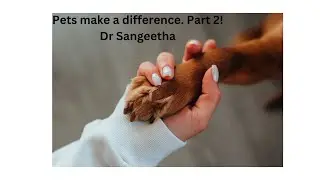 Pets make a difference! Part 2