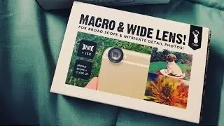 $20 Typo Macro Lens Test With iPhone 6