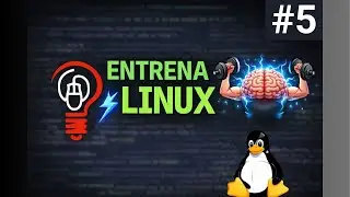 Entrena tu Linux #5 | Ejercicios Pr&aacute;cticos de Procesos, Propiedad y Disco