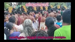 Thrissur Pakalpooram 2015